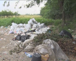 CRUCIADA GUNOAIELOR. DEPOZITELE ILEGALE APAR CA CIUPERCILE DUPĂ PLOAIE