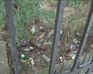 CU OCHIUL ÎN CURTEA VECINULUI. CORNEL PITIŞ, INTERVENŢIE HILARĂ ÎN ŞEDINŢA CJ