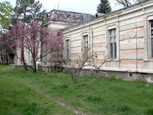 ANSAMBLUL MUZEAL BRĂTIANU. CLĂDIREA FOSTULUI SPITAL VA INTRA ÎN REABILITARE