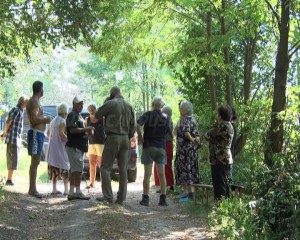 SITUAŢIE FĂRĂ IEŞIRE, LA PÂRSCOV. CREŞTE SUTE DE CÂINI ŞI NIMENI NU ÎI POATE FACE NIMIC