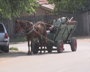 INTERZIS PENTRU ATELAJE. „ŞOFERII” CU HĂŢURI VOR RĂMÂNE „DE CĂRUŢĂ”