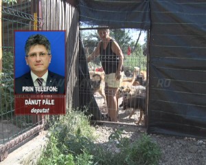 DEPUTATUL PĂLE, DESPRE SITUAŢIA DE LA PÂRSCOV: “ESTE O PROBLEMĂ ÎN TOATĂ ŢARA. TREBUIE REZOLVATĂ!”