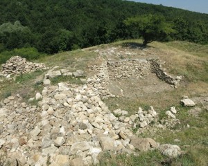PORŢI DESCHISE PE ŞANTIER ARHEOLOGIC. PIETROASA MICĂ GRUIU DĂRII, DESCHIS PE 10 AUGUST