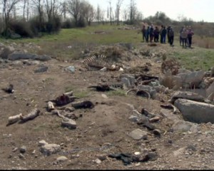 ANIMALE MOARTE PE CÂMP, LA POŞTA CÂLNĂU. DIRECŢIA SANITAR-VETERINARĂ CAUTĂ VINOVAŢII