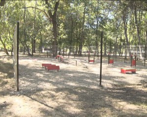 RAIUL CÂINILOR. PRIMUL LOC DE JOACĂ PENTRU CÂINI DIN BUZĂU