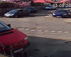 DIN MERCEDES, DIRECT ÎN STRADĂ. IATĂ CUM SUNT ABANDONAŢI CÂINII, LA BUZĂU