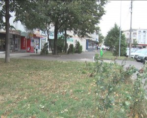 SPAŢIILE VERZI, REGÂNDITE ÎN MUNICIPIU. BUZOIENII CER ÎNFIINŢAREA UNOR NOI PĂRCULEŢE