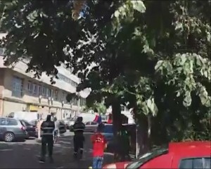PISICĂ ÎN COPAC. A FOST SALVATĂ DE POMPIERI