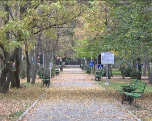 ”PĂDUREA CRÂNGULUI NU SE VINDE!” ŞEFII PALATULUI COMUNAL RESPING ORICE SPECULAŢIE