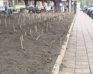 SPAŢIILE VERZI, O PROBLEMĂ LA BUZĂU. PRELUAREA CRÂNGULUI, EXTREM DE IMPORTANTĂ