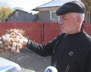 NICI USTUROI N-AU MÂNCAT... CUM DISPĂRE UN SOI ROMÂNESC, DIN CAUZA SAMSARILOR