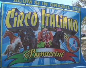 „CIRCO ITALIANO BONACCINI” REVINE LA BUZĂU. BUZOIENI DE TOATE VÂRSTELE, AŞTEPTAŢI LA SPECTACOL