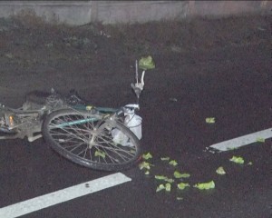 BICICLIST SPULBERAT, PE DN2 E85. A DECEDAT CÂTEVA ORE MAI TÂRZIU, LA SPITAL