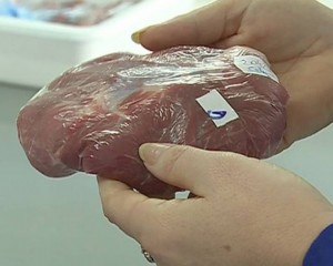 SUSPICIUNE CONFIRMATĂ LA GHERGHEASA. OAMENII AU MÂNCAT CARNE DE CAL