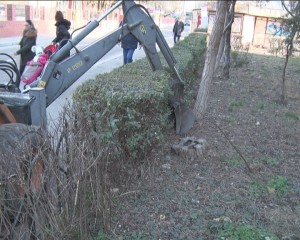 GARDURILE VII, LA PĂMÂNT. SE LUCREAZA ÎN CARTIERUL OBOR