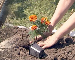 ÎNCEPE CAMPANIA DE CURĂŢENIE. „ÎMPREUNĂ PUTEM SCHIMBA ORAŞUL”