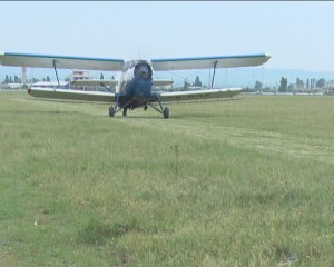 DEZINSECȚIE LA SOL ȘI DIN AER. AVIOTRATAMENTUL VA FI RELUAT ÎN WEEKEND