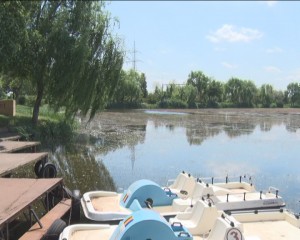 PROBLEME ÎN PARCUL TINERETULUI. LACUL A FOST INVADAT DE BRĂDIŞ