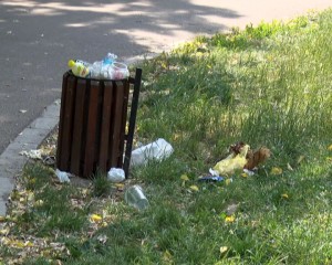 CURĂŢENIA, O PROBLEMĂ A TUTUROR. AUTORITĂŢILE FAC APEL LA CETĂŢENI