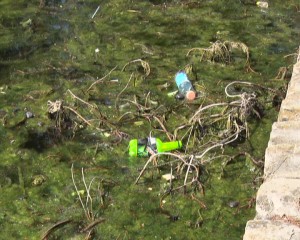 PARCURILE DIN BUZĂU LASĂ DE DORIT. MIZERIA ACOPERĂ SPAŢIUL VERDE ŞI LUCIUL APEI