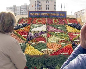 FESTIVAL LEGUMICOL.TOMATELE DE BUZĂU VOR FI VEDETELE