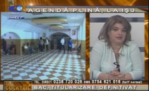 AGENDĂ PLINĂ LA INSPECTORATUL ŞCOLAR