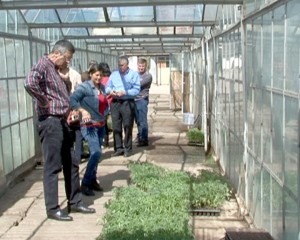 BUZĂU - CENTRU UNIVERSITAR. PRIMĂRIA VREA SĂ ÎNFIINŢEZE O FACULTATE AGRICOLĂ