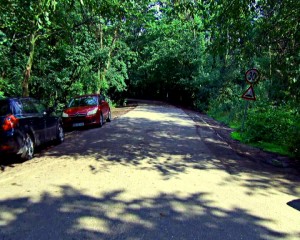 PROGRAM DE ACCES ÎN PARC. ALEILE DE INTRARE ÎN CRÂNG APARŢIN MUNICIPALITĂŢII