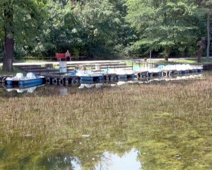 CEL MAI URÂT LAC DIN ŢARĂ. HELEŞTEUL DIN CRÂNG ARATĂ DEPLORABIL