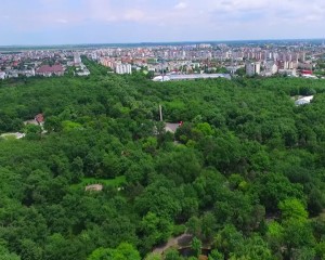 CRÂNGUL, ÎN PROPRIETATEA PRIMĂRIEI. ANUNŢUL A FOST FĂCUT DE PRIMARUL TOMA