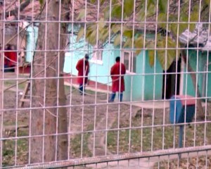 NOI ANGAJĂRI LA SĂPOCA. SE CAUTĂ SPECIALIŞTI ÎN PSIHIATRIE ŞI ASISTENŢĂ MEDICALĂ