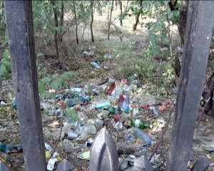 AFARĂ E VOPSIT GARDUL... FOCAR DE INFECŢII ÎN CURTEA DIRECŢIEI SILVICE