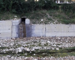 PEŞTI MORŢI, ANCHETĂ DISPUSĂ DE PREFECT. CAZUL A FOST SEMNALAT ÎN SĂRATA-MONTEORU