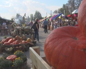 CHEMAREA GURMANZILOR. FESTIVALUL DOVLEACULUI, LA POŞTA CÂLNĂU