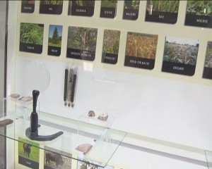 NOAPTEA CERCETĂTORILOR EUROPENI. BUZĂUL A FOST PUS PE HARTA CERCETĂRII
