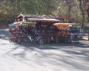 FĂRĂ BICICLETE DE AGREMENT ÎN CRÂNG. ESTE DECIZIA CURŢII DE APEL PLOIEŞTI