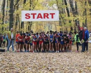 JUNIORII BUZOIENI, CAMPIONI NAŢIONALI LA CROS. GLORIA A OBŢINUT AURUL ÎN COMPETIŢIA PE ECHIPE