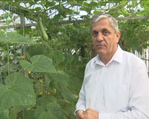 CASTRAVEŢI DE IARNĂ. ACEŞTIA AJUNG SĂ CÂNTĂREASCĂ MAI MULTE KILOGRAME