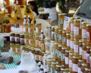INVITAŢIE LA TÂRG. APICULTORI DIN TOATĂ ŢARA SE ÎNTÂLNESC LA BUZĂU