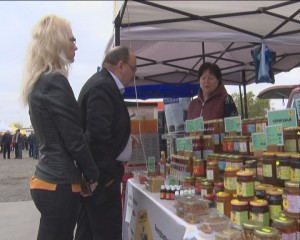 CEL MAI DULCE WEEKEND. BUZOIENII S-AU APROVIZIONAT CU MIERE PENTRU IARNĂ