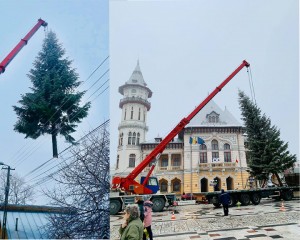 BRADUL DE BUZĂU. VEDETA TÂRGULUI DE CRĂCIUN ESTE UN BRAD CRESCUT ÎN ORAŞ