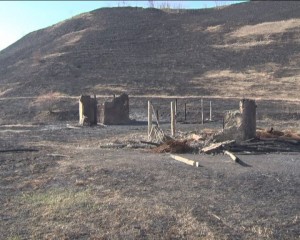 SITUL ARS. UN INCENDIU DE VEGETAŢIE A DISTRUS SITUL DE LA CÂRLOMĂNEŞTI