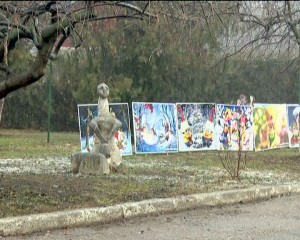 MASCOTE LA ORĂŞEL. COPIII SE VOR FOTOGRAFIA ÎN CRÂNG CU PERSONAJE DE DESENE ANIMATE
