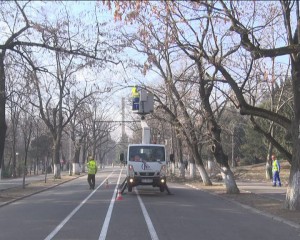 SE TOALETEAZĂ COPACII. A INTRAT ÎN LUCRU ALEEA PRINCIPALĂ DIN CRÂNG
