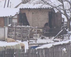 FOCAR CONFIRMAT, ALERTA CONTINUĂ LA VADU PAŞII. LOCALNICII, AVERTIZAŢI SĂ RESPECTE MĂSURILE
