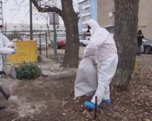 PORCUL GASIT LA RAMPA DE GUNOI NU AVEA PESTĂ. PROBE AU FOST TRIMISE ŞI LA BUCUREŞTI