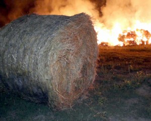 INCENDIU LA PODGORIA. FOCUL A FOST PUS DE LOCALNICI INCONŞTIENŢI
