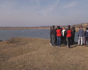 ORA DE BIOLOGIE, PE LAC. ELEVII, IMPRESIONAŢI DE LEBEDE