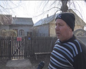 ÎNCĂ UN FOCAR LA BOBOC. 12 CAZURI DE PESTĂ PORCINĂ AFRICANĂ