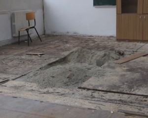 FLORI DE MUCIGAI, VARIANTA NENIŢESCU. IGRASIE, MUCEGAI ŞI CONDENS, LA LICEUL BUZOIAN